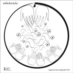 adakozas1